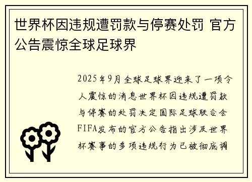 世界杯因违规遭罚款与停赛处罚 官方公告震惊全球足球界